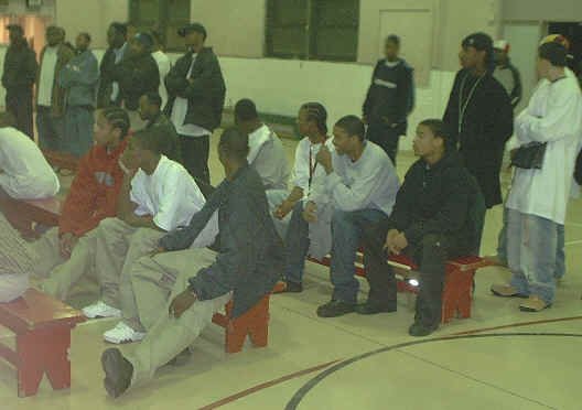 wpe3.jpg (19566 bytes)