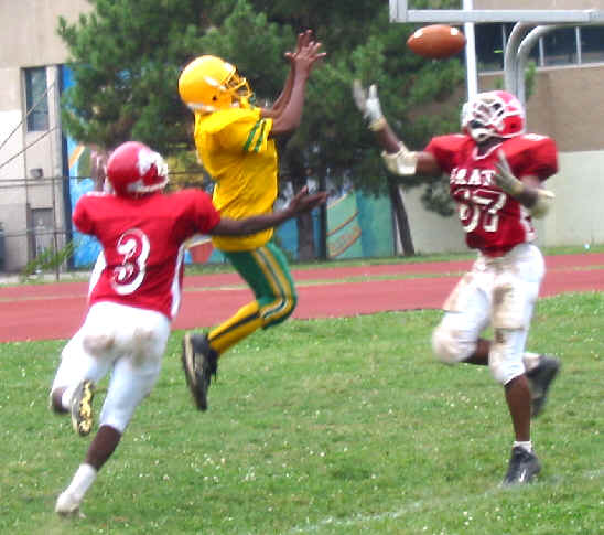 wpeC.jpg (35297 bytes)