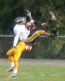 wpe7.jpg (3522 bytes)