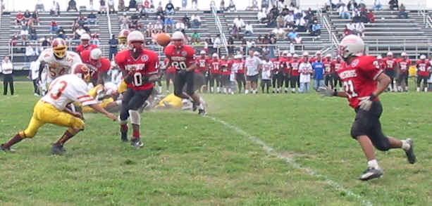 wpe9.jpg (30024 bytes)