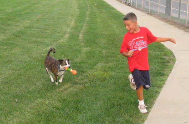 wpe27.jpg (25570 bytes)